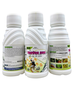 Điều hoà sinh trưởng